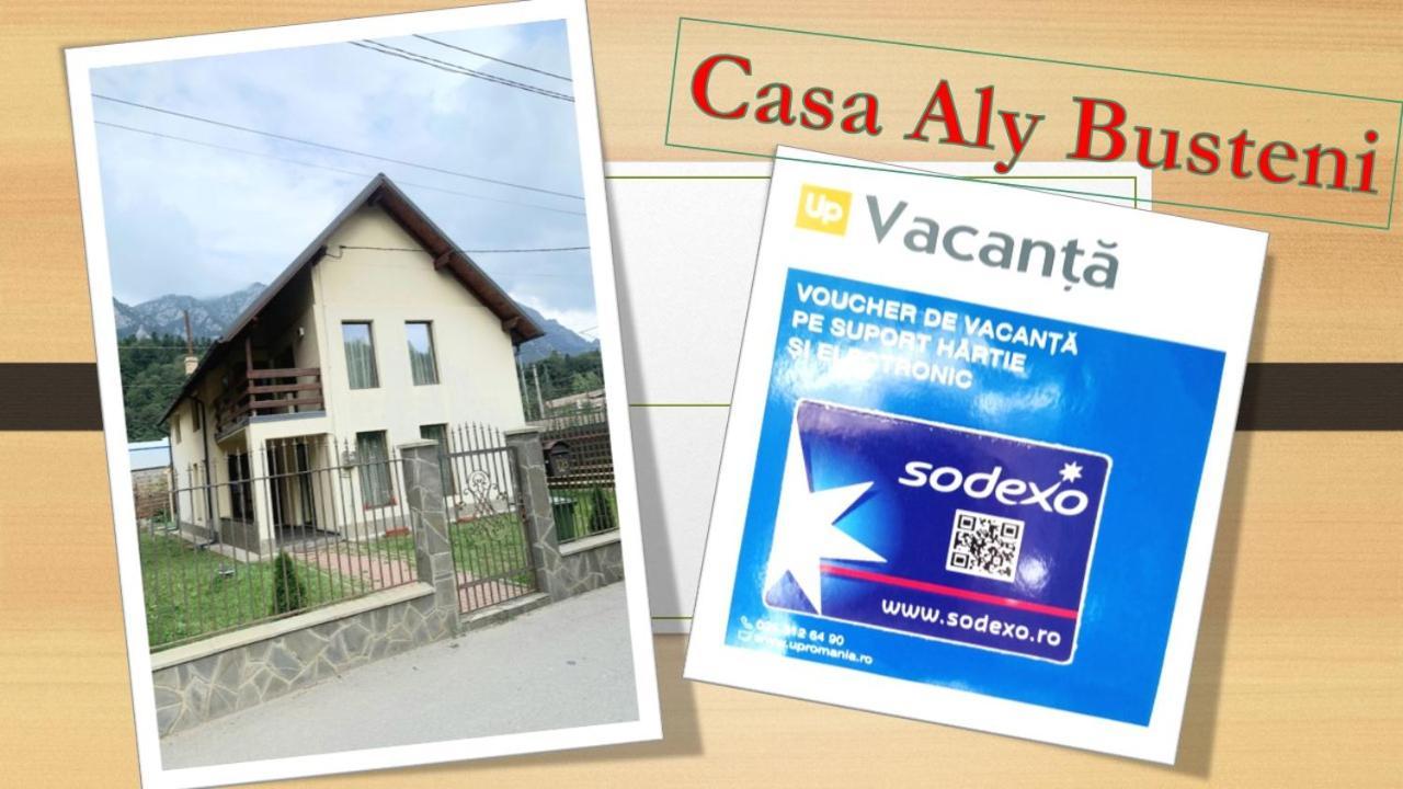 Casa Aly Busteni Villa Ngoại thất bức ảnh